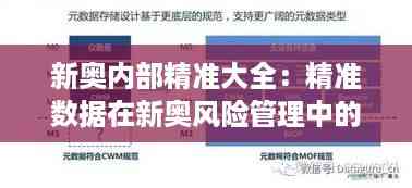 新奥内部精准大全:精准数据在新奥风险管理中的关键角色