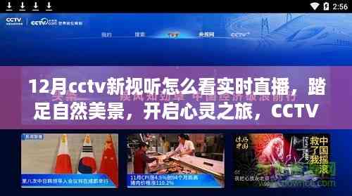 CCTV新视听,12月实时直播踏足自然美景,领略别样风情的心灵之旅