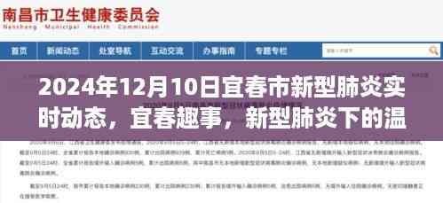 宜春市新型肺炎实时动态与温馨日常,疫情下的深厚友情