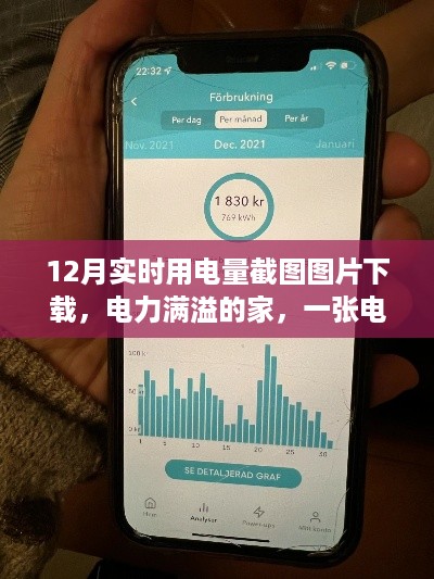 电力满溢的家,12月实时用电量截图揭示的温馨故事