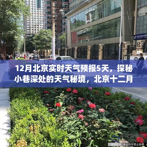 bingjiyugu 第5页