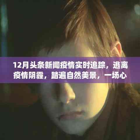 疫情阴霾下的心灵之旅，12月疫情实时追踪与自然美景的交融