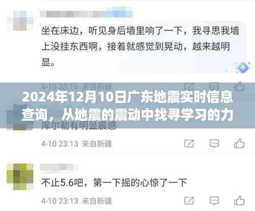 广东地震实时信息查询背后的励志故事，从震动中找寻学习的力量（2024年12月10日）