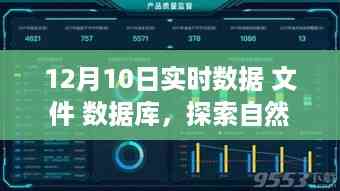 数据海洋中的自然美景探索,一次心灵的奇妙旅行之旅