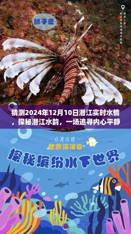 探秘潜江水韵,预测潜江美好水情之旅,追寻内心平静的旅程(2024年12月10日实时水情展望)