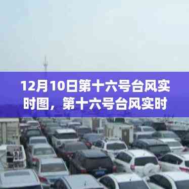第十六号台风最新动态,深度解析影响与应对策略
