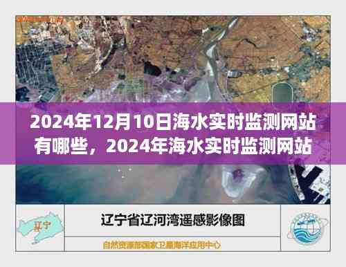 2024年海水实时监测网站全面解析,实时数据监测与未来展望
