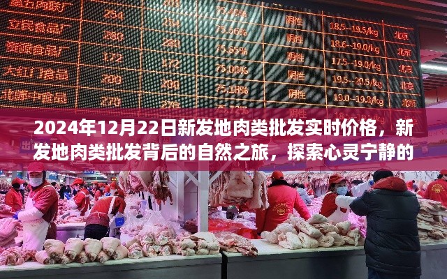 新发地肉类批发实时价格背后的自然之旅,探索心灵宁静的奇妙旅程
