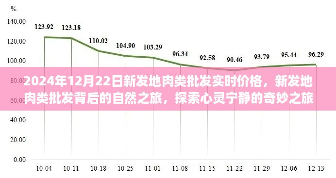 新发地肉类批发实时价格背后的自然之旅,探索心灵宁静的奇妙旅程