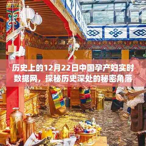 文质彬彬 第5页