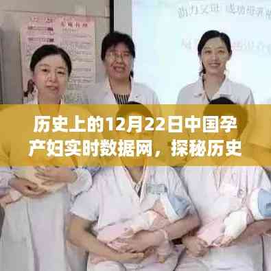 揭秘历史深处的秘密角落,中国孕产妇实时数据网背后的故事与数据解析
