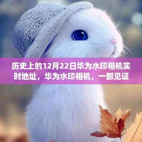 华为水印相机见证历史成长,实时记录下的传奇与自信之路