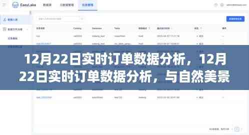 12月22日实时订单数据分析,与自然美景的邂逅,探寻内心宁静绿洲之旅