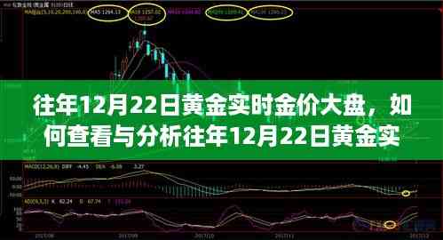 查看与分析往年黄金实时金价大盘，初学者与进阶用户指南——以12月22日为例的黄金市场洞察