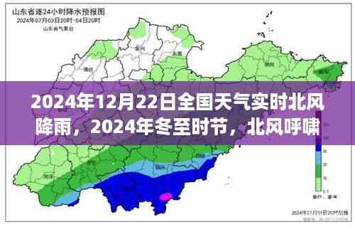 全国冬至北风呼啸降雨实时报告,冬至时节全国天气状况及降雨情况