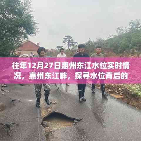 惠州东江畔水位实时观察,自然魅力之旅的探寻之旅