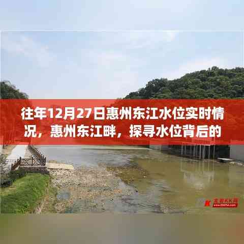 惠州东江畔水位实时观察,自然魅力之旅的探寻之旅
