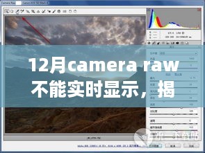 浅笑轻吟梦一曲 第4页
