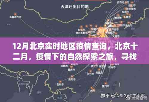 北京疫情下的自然探索之旅,十二月实时疫情查询与内心宁静的追寻