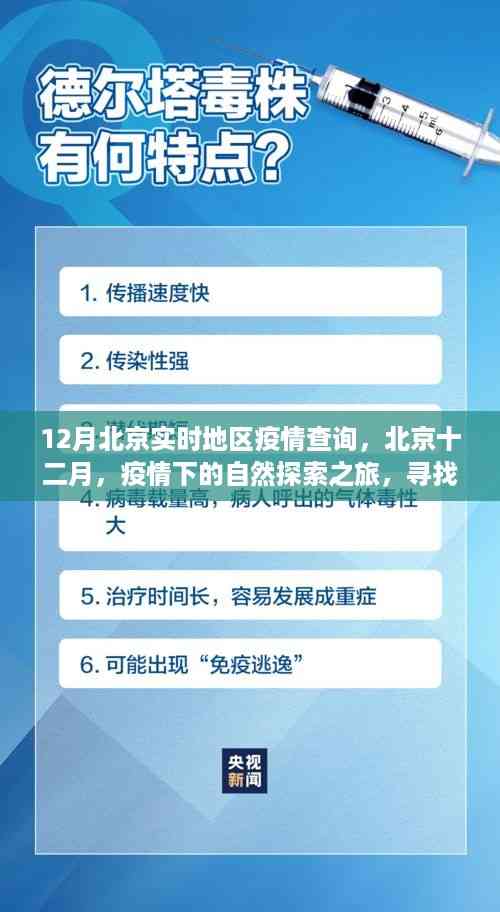 北京疫情下的自然探索之旅,十二月实时疫情查询与内心宁静的追寻