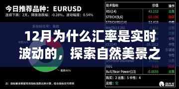 橘虞初梦 第4页