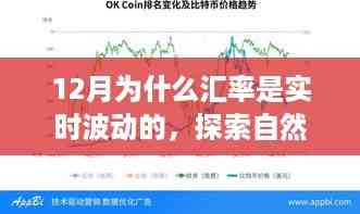 探索自然美景之旅,揭秘十二月汇率波动背后的故事与心灵之旅体验