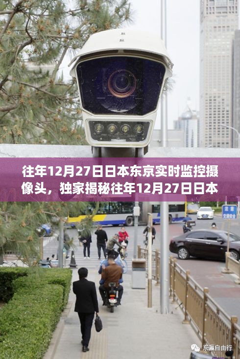 caoshuaicongshi 第3页