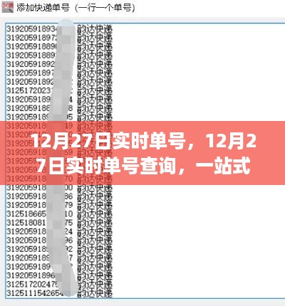 12月27日实时单号查询,一站式解决方案追踪包裹动态
