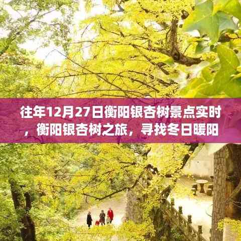 衡阳银杏冬日之旅,寻找暖阳下的宁静与生机