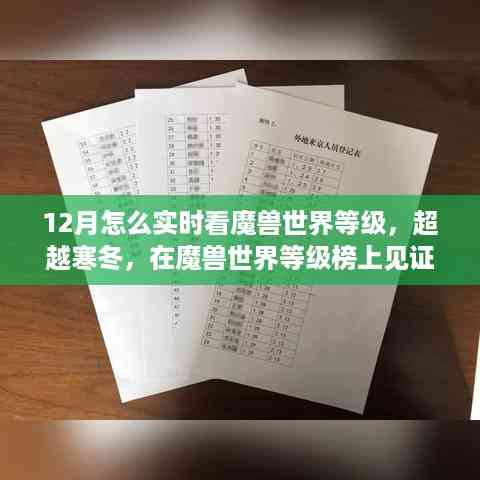 12月实时追踪魔兽世界等级,寒冬见证成长奇迹