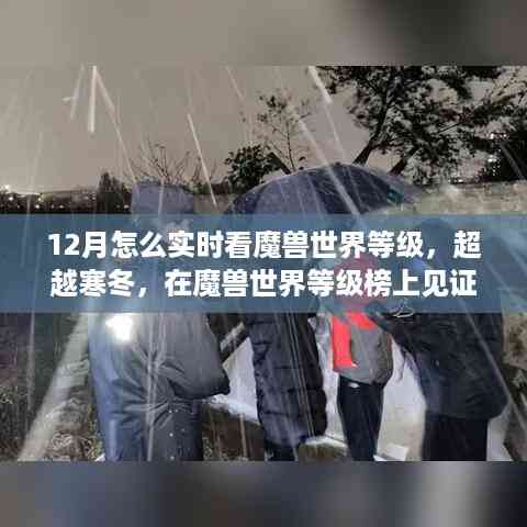 12月实时追踪魔兽世界等级,寒冬见证成长奇迹