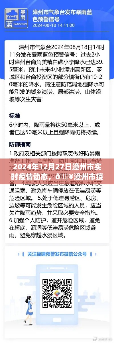 漳州市疫情实时播报,最新动态与动态分析(XXXX年XX月XX日)