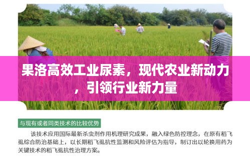贵卖贱买 第3页