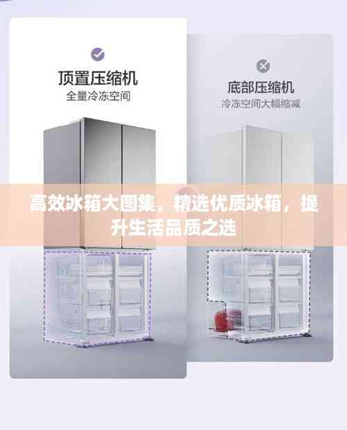 高效冰箱大图集,精选优质冰箱,提升生活品质之选