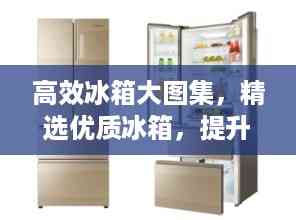 高效冰箱大图集,精选优质冰箱,提升生活品质之选