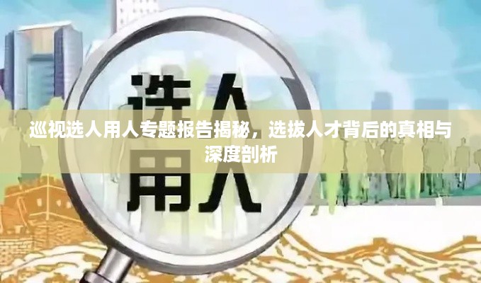巡视选人用人专题报告揭秘,选拔人才背后的真相与深度剖析