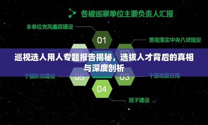 巡视选人用人专题报告揭秘,选拔人才背后的真相与深度剖析