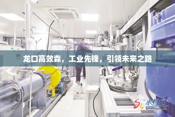 龙口高效森,工业先锋,引领未来之路