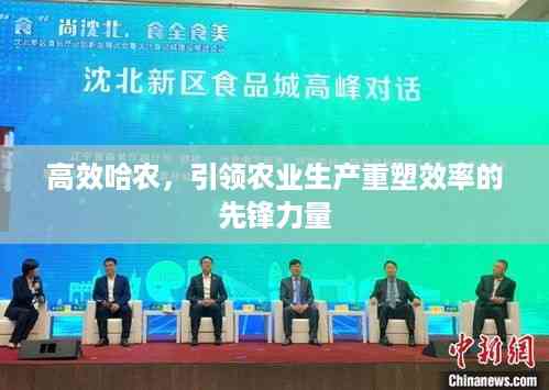 高效哈农,引领农业生产重塑效率的先锋力量