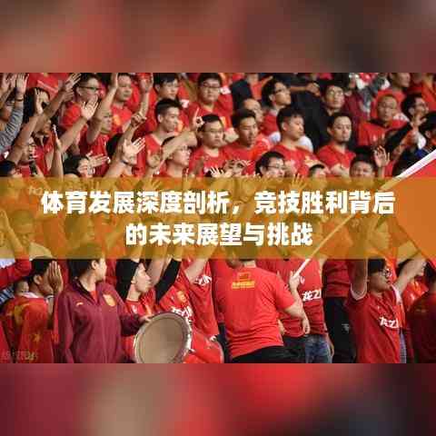 体育发展深度剖析,竞技胜利背后的未来展望与挑战
