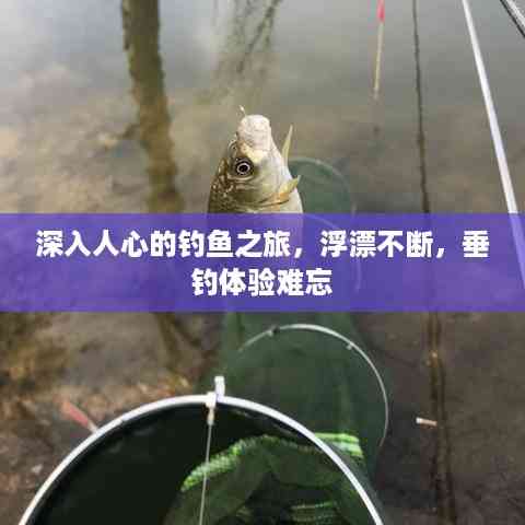 深入人心的钓鱼之旅,浮漂不断,垂钓体验难忘