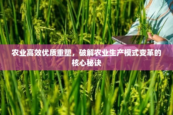 达官贵人 第4页