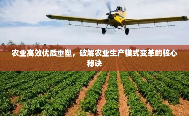 农业高效优质重塑,破解农业生产模式变革的核心秘诀