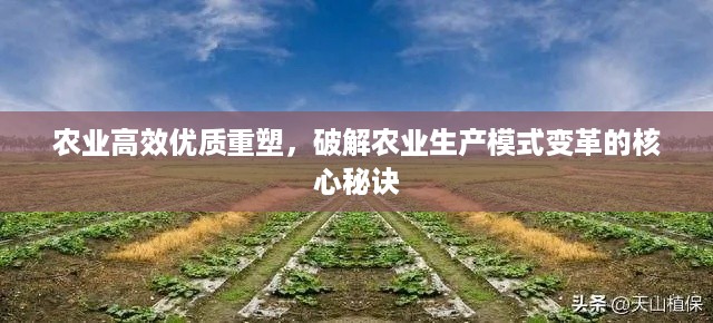 农业高效优质重塑,破解农业生产模式变革的核心秘诀