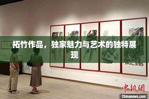 拓竹作品,独家魅力与艺术的独特展现