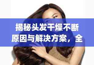揭秘头发干燥不断原因与解决方案,全方位解析助你拥有柔顺秀发