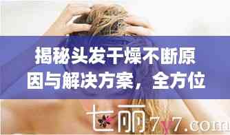 揭秘头发干燥不断原因与解决方案,全方位解析助你拥有柔顺秀发