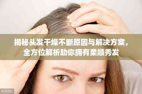 揭秘头发干燥不断原因与解决方案,全方位解析助你拥有柔顺秀发