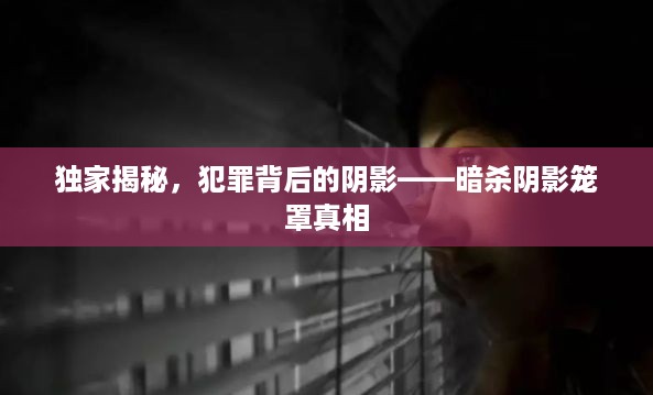 独家揭秘,犯罪背后的阴影——暗杀阴影笼罩真相