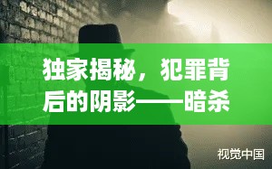 独家揭秘,犯罪背后的阴影——暗杀阴影笼罩真相